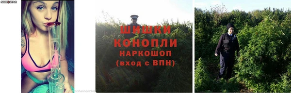 ALPHA PVP Ельня