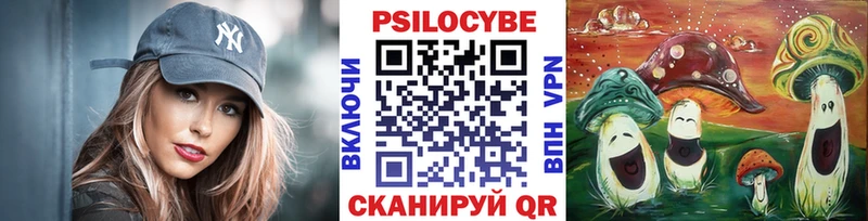 продажа наркотиков  Николаевск  Псилоцибиновые грибы Cubensis 